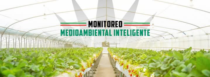 Foto principal de KUTURABI Somos tu aliado en monitoreo medioambiental inteligente